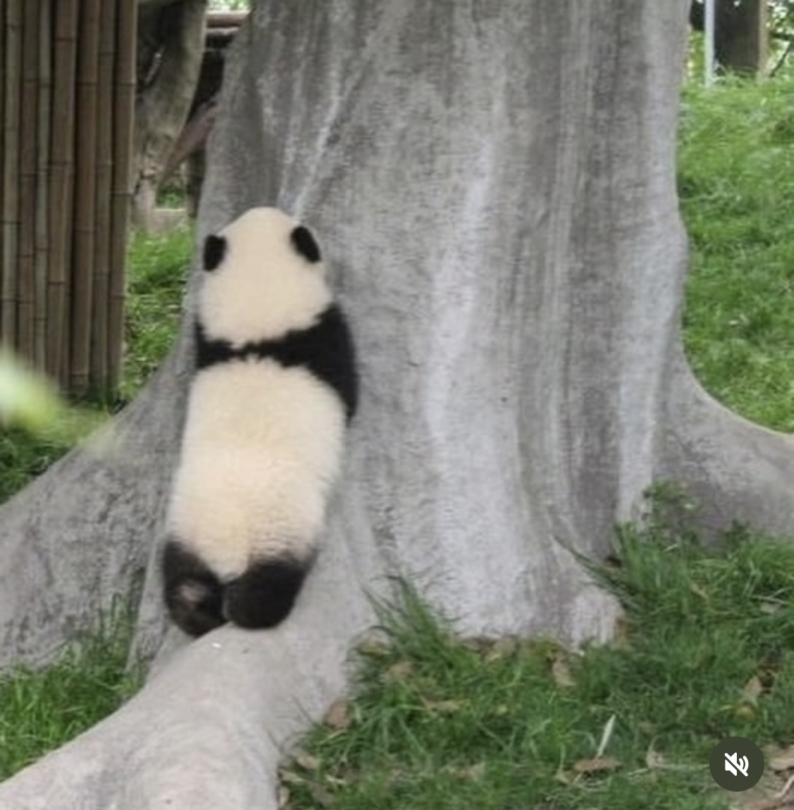 10월 22일 일기 이미지