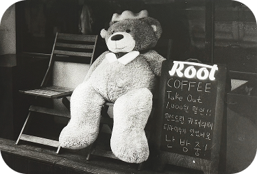 Black and white teddy photo