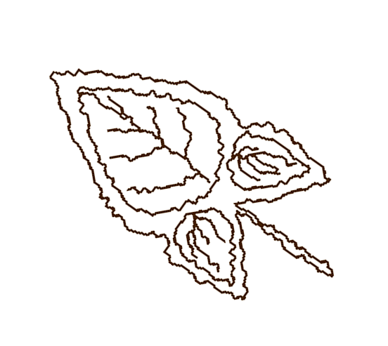 Leaf 3