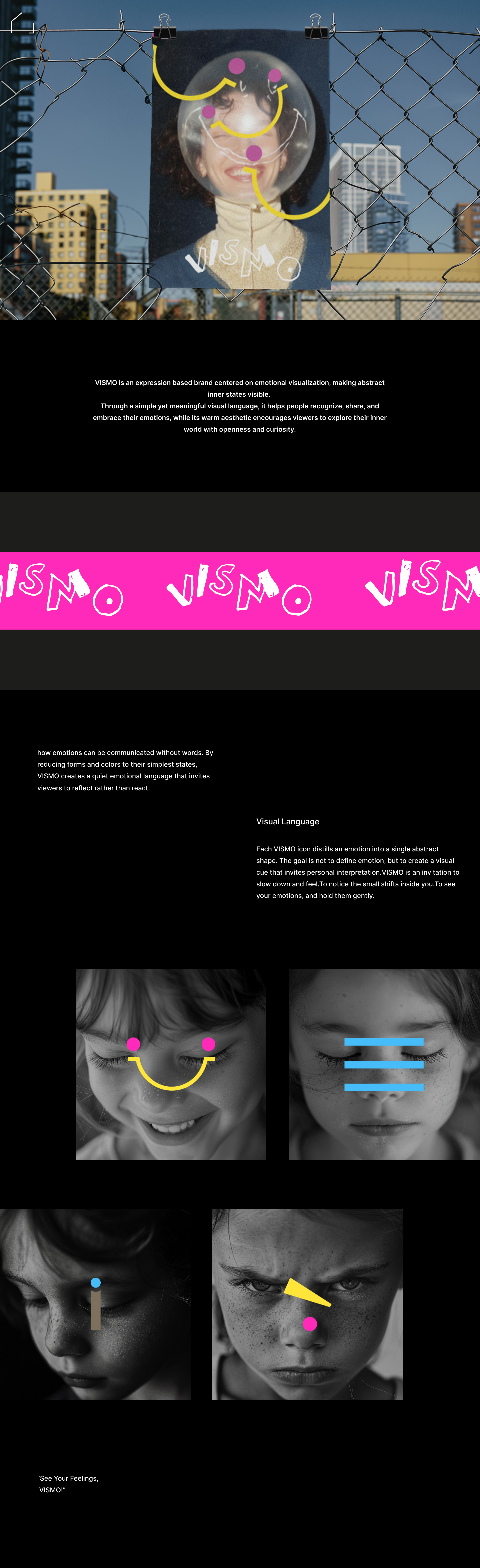 VISMO background