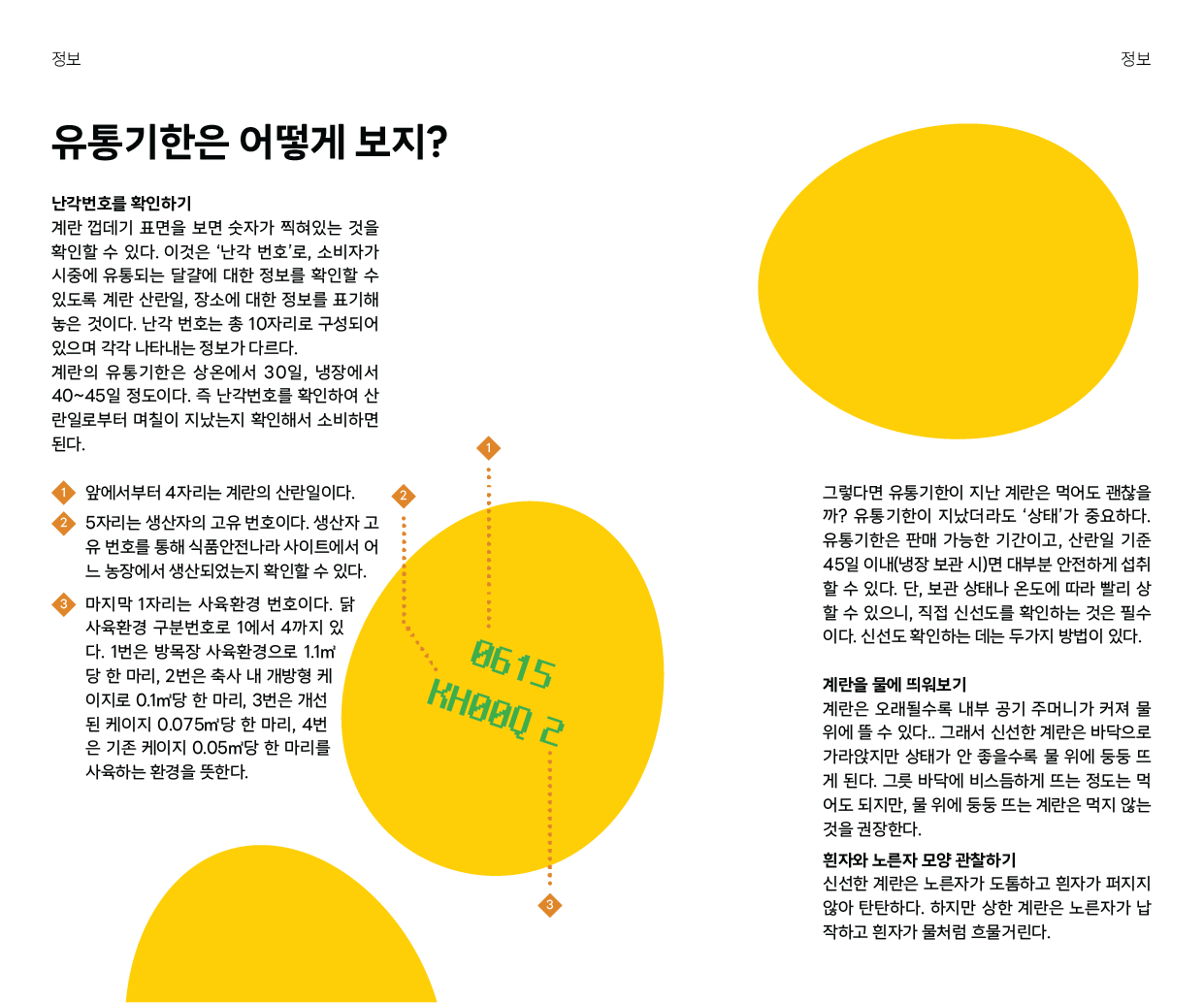 Illustration 1 - 큰고양이